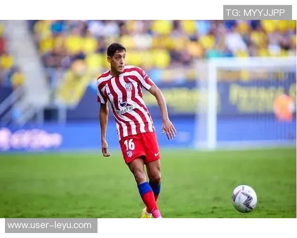 国米有意引进马竞边卫莫利纳1500万欧元或成转会关键